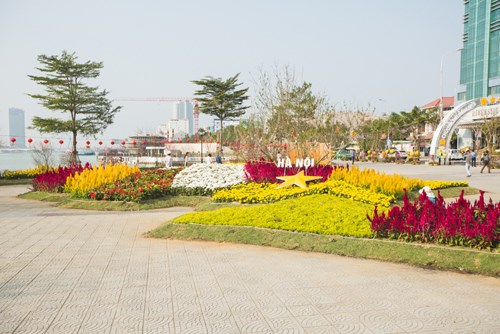 Đà[-]Nẵng:[-]Bản[-]đồ[-]Việt[-]Nam[-]bằng[-]hoa[-]lập[-]kỷ[-]lục